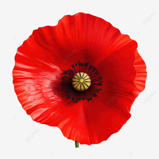 red-poppy-ufacup88